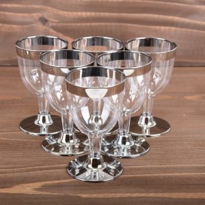 Mini Plexi Cups Clear Acrylic Cups (6 pcs/ 4 Oz)