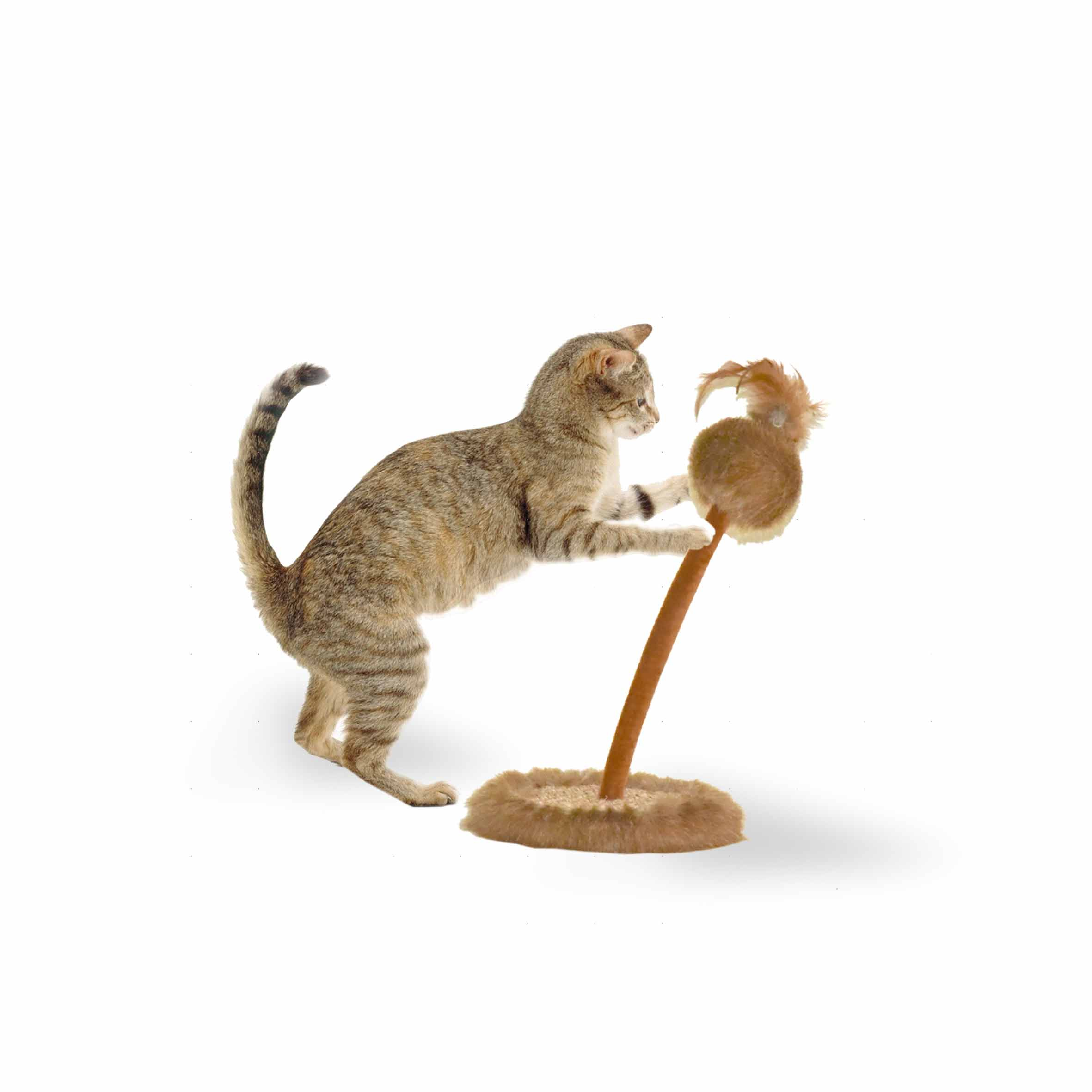 cat scratch toy