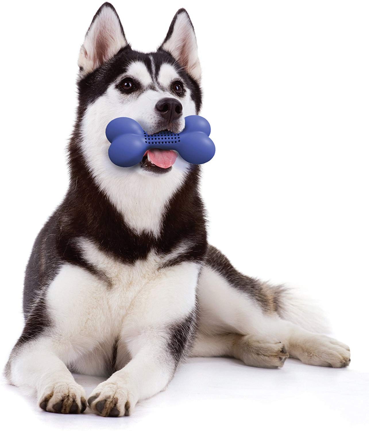 Dog Chew Toy Hydro Rubber Dog Puppy Fetch Chew Toy KaroutExpress Dog Chew Toy Hydro Rubber Dog Puppy Fetch Chew Toy KaroutExpress