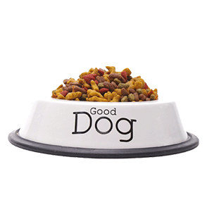 Dogs Food