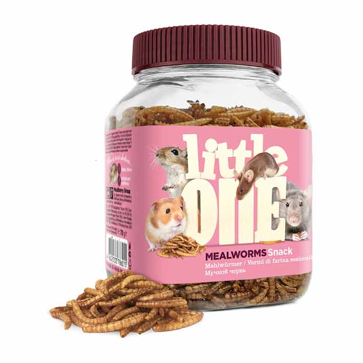 Little One Rat Mouse Mice Guinea Pig Hamster Snack Mealworms ...