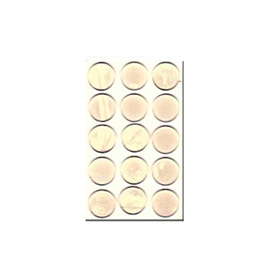 Ripper Shockproof, Stoppable Door, sound, Protection Barrier Under Glass - Image 5