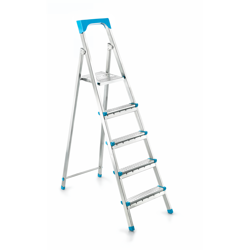 Iron Step Ladder