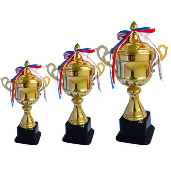 Trophy Oscar Trophy Awards Team Sport Competition Available In Sizes
