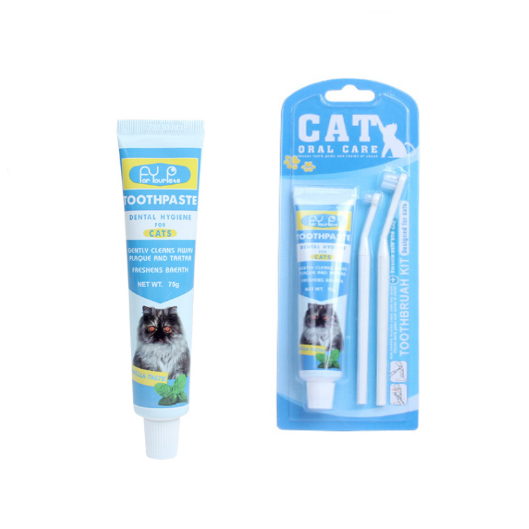 Car Oral Care Toothpaste with Toothbrush