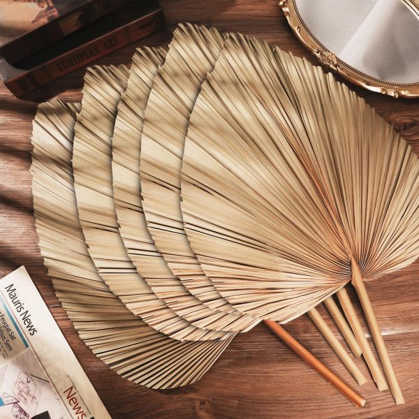 dried palm leaf 3pcs - Image 6