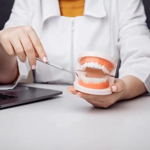 Demonstration Teeth Model for Kids Teaching Supplies,Clean Display, Education, Study, No Wisdom Teeth