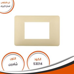 Astra curv No 14 champagne Switch Plates