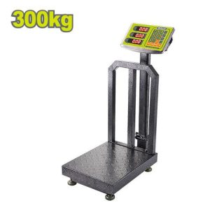 dyllu 300kg scale with 2 screen