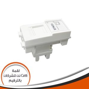 internet Socket cat 6 - Pompeii