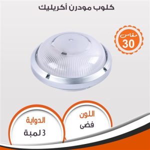 Modren acrylic flush light (Silver) 95186