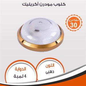 Modren acrylic flush light (gold) 95197