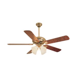 ceiling fan with light fixture