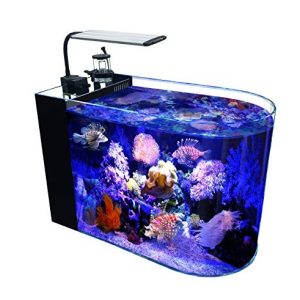 GankPike 12 Gallon Saltwater Aquarium U-Shaped Low Iron Ultra Clear Glass Aquarium Saltwater Fish Tank Reef Tank with Lid and Pad, Protein Skimmer, LED Light and Pump