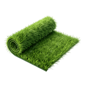 grass