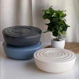 plastic bowl. 4 liter with lid