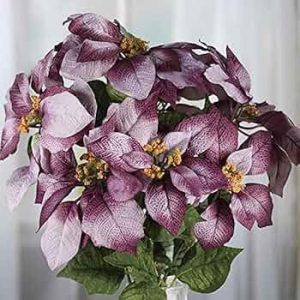 Christmas     Direct Craft Faux Variegated Purple Poinsettia Bush, Indoor Poinsettia Flowers, Classic Poinsettia for Holiday Decorations (19 Inches Tall)