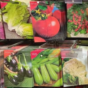 Cham Gota Seeds, Available In Different Types