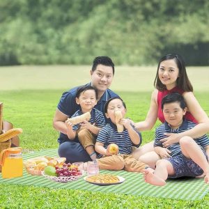 GTC Foldable & Portable Waterproof Picnic Mat for Yoga, Beach, Camping, and Grass (2x2m