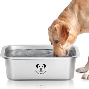 Dog Food Bowls