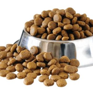 Dog Dry Food