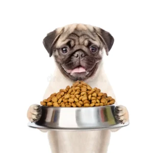 Dogs Food