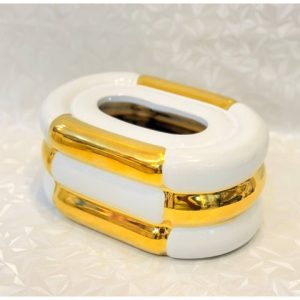 Modern And Luxurious Tissue Box Cover Or Decorative Container With A Rounded Oval Or Rectangular Shape. The Body Is Made From A Ceramic Or Hard Plastic Material With A