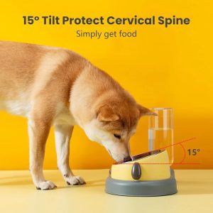 Slow Feeder Dog Bowls,3 in 1 Cat Dog Tilted Food and Water Bowl Set for Puppy,Raised Stainless Steel Dogs Bowl with Automatic Water Dispenser Bottle for Pet
