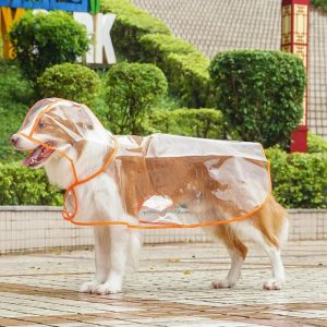 pvc pet rain coat water proof