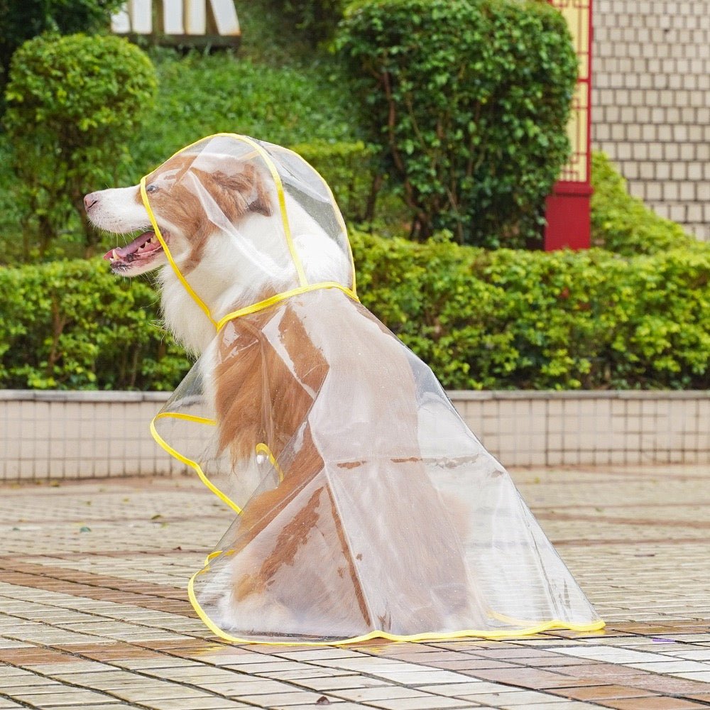 pvc pet rain coat water proof - Image 4