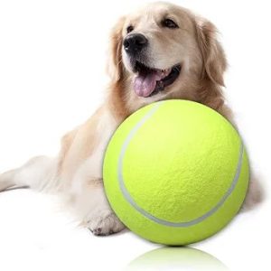 tennis ball Giant 24cm