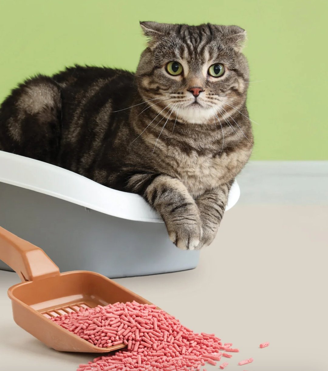 Reflex Tofu Scented Cat Litter, 7 liter - Image 4