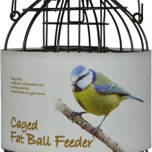 Dome Caged Fat Ball Wild Bird Feeder, Designed To Deter Squirrels And Also Larger Garden Birds Such As Pigeons And Doves., Hammerton