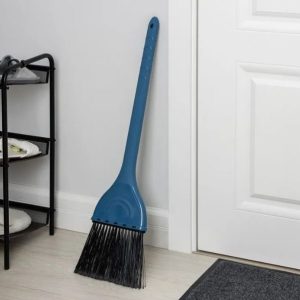 Blue plastic brush