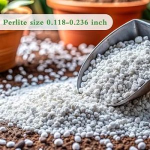 Bionat Organic perlite for plants, 300g  perlite ideal for indoor and outdoor plants
Enhances soil drainage and