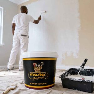 PRIMER SEALER PAINT
Master Primer Sealer
4kg