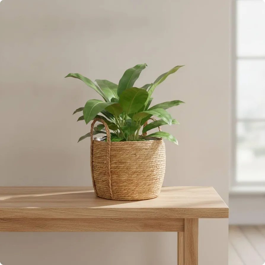 Handwoven Planter Basket with Plastic Liner Natural Fibet
Flower Pot Cover with Plastic Liner Rustic Woven Plant Pot Cover Farmhous - Image 2